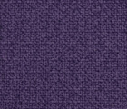 J-12紫